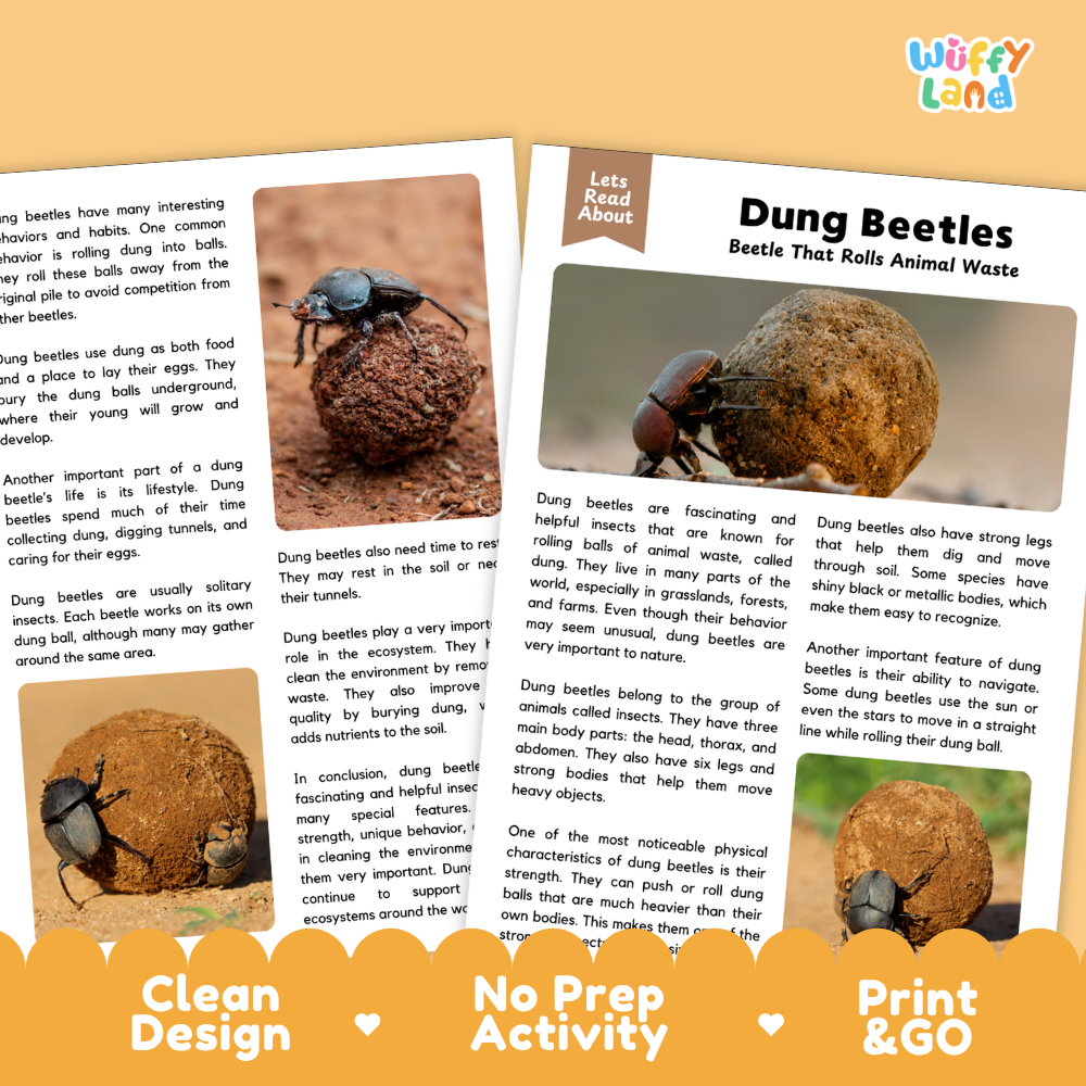 Dung Beetles Reading Passage and Questions Worksheets with Answer Key