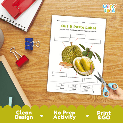 Differentiated durian fruit labeling worksheets featuring write-in callout boxes and vocabulary word bank