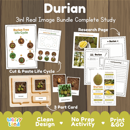 Durian tree life cycle 3in1 real image bundle complete study overview featuring cut and paste worksheets, Montessori 3-part cards, and research pages from Wuffy Land 🍈🌱
