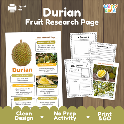 Durian Fruit Research Page Worksheets and Fact Sheet