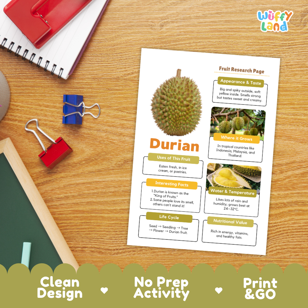 A printed fruit research page about durian lies on a wooden desk, surrounded by office props including a spiral notebook, red and blue binder clips, and a pen. The page shows a durian fruit photo, text sections, and small inset photos.