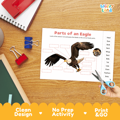 Printable bird of prey anatomy worksheet showing a realistic bald eagle in flight with blank labeling boxes and a vocabulary word bank for writing practice