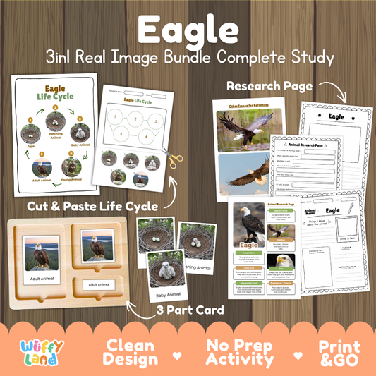 Eagle 3-in-1 real image bundle complete study cover showing cut and paste life cycle, 3 part cards, and research pages