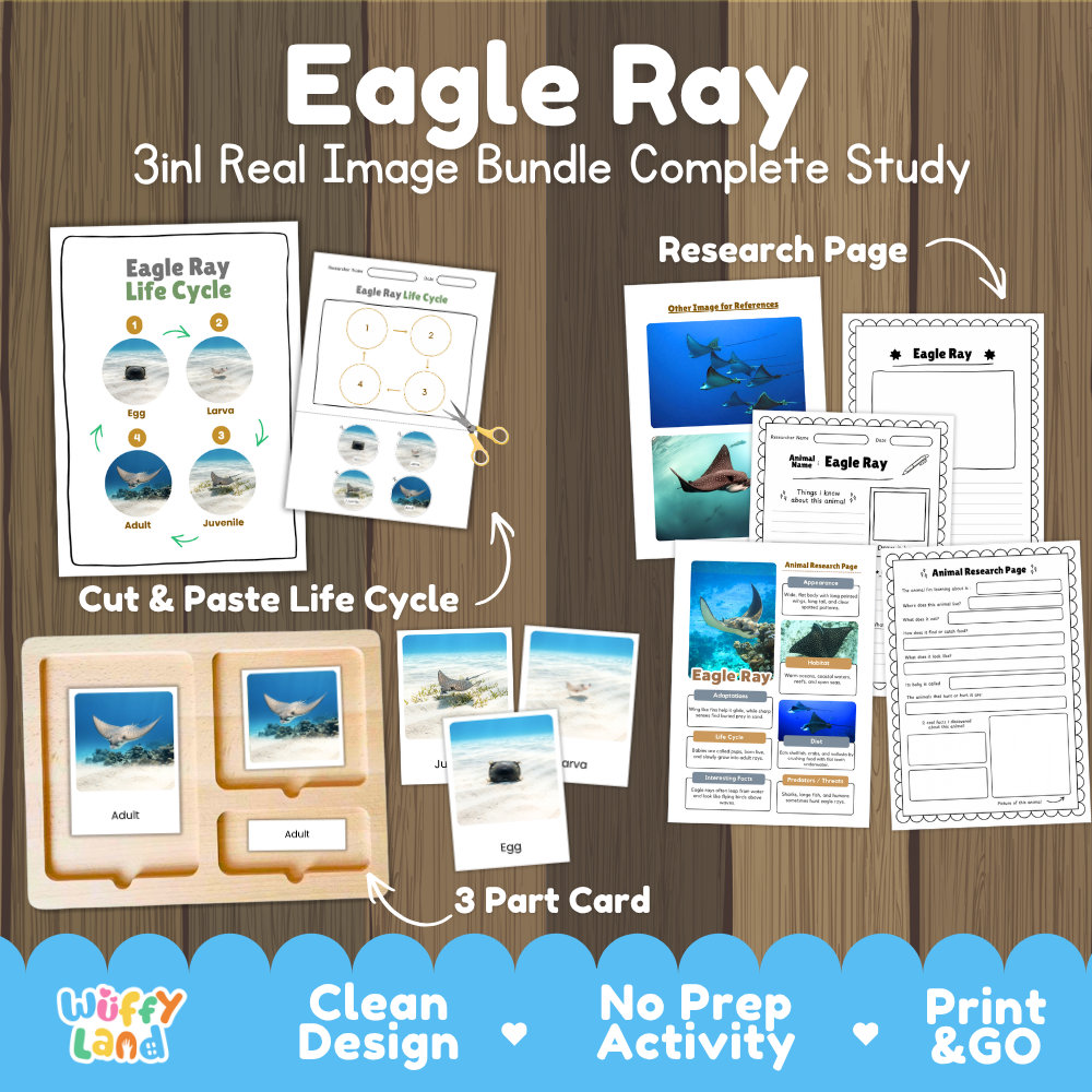 Eagle ray 3-in-1 real image bundle complete study cover showing cut and paste life cycle, 3 part cards, and research pages