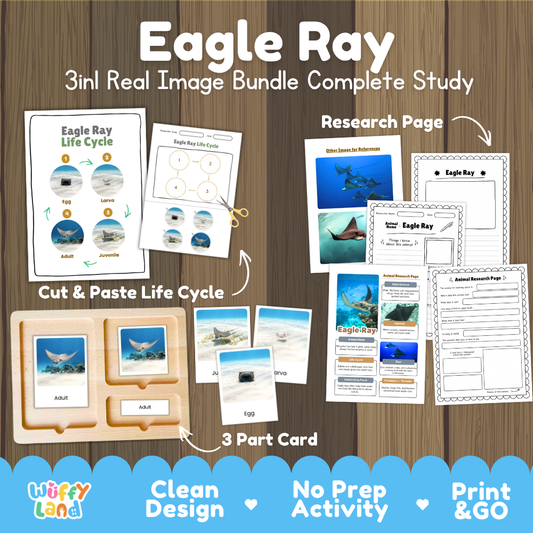 Eagle ray 3-in-1 real image bundle complete study cover showing cut and paste life cycle, 3 part cards, and research pages