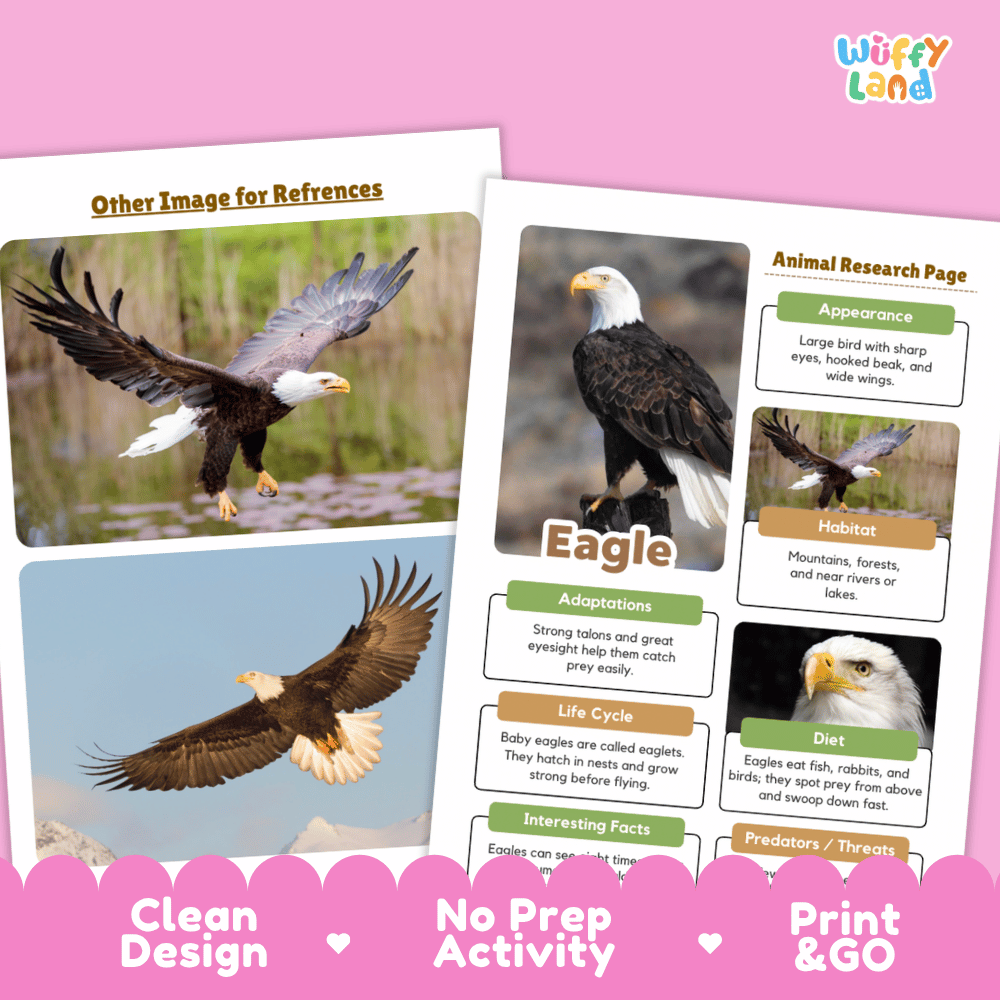 Two printed educational activity sheets about eagles displayed on a pink background. The sheets include sample eagle photos, labeled sections for appearance, habitat, adaptations, life cycle, diet, and predators, plus marketing text at the bottom reading 'Clean Design,' 'No Prep Activity,' and 'Print & GO.
