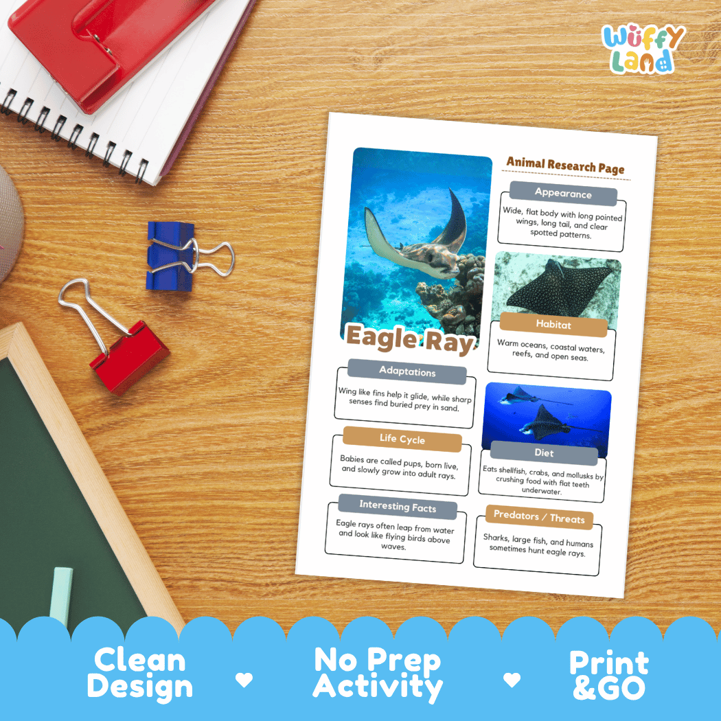 Eagle Ray Animal Research Page Project Worksheets and Fact Sheet