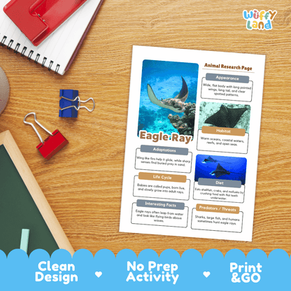 Eagle Ray Animal Research Page Project Worksheets and Fact Sheet