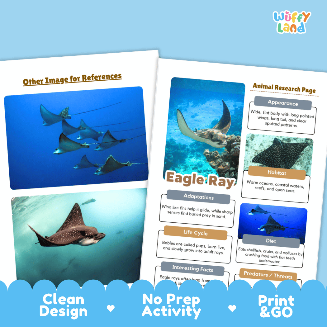 Eagle Ray Animal Research Page Project Worksheets and Fact Sheet