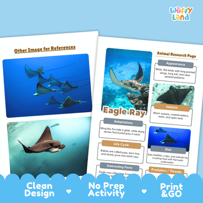 Eagle Ray Animal Research Page Project Worksheets and Fact Sheet