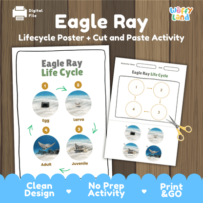 Eagle Ray Life Cycle Poster and Cut and Paste Worksheet Activity