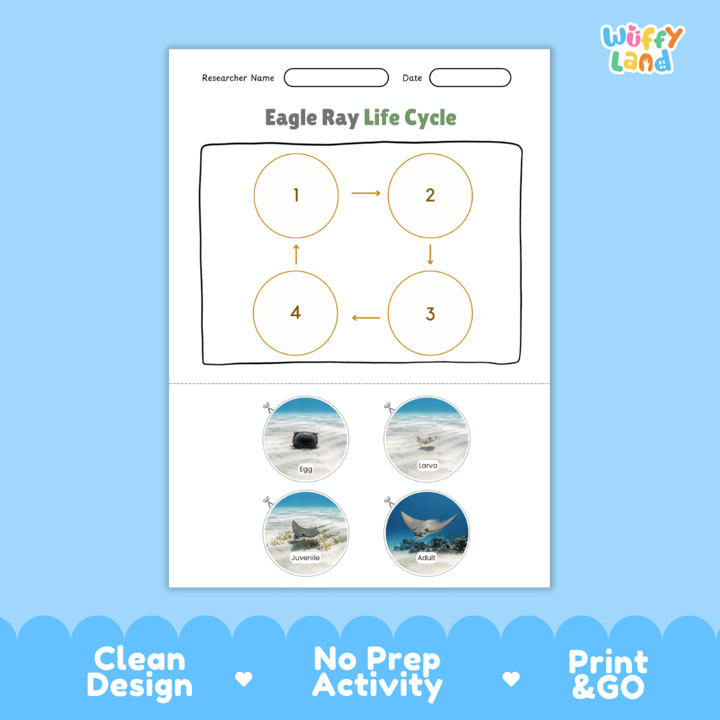 Eagle Ray Life Cycle Poster and Cut and Paste Worksheet Activity