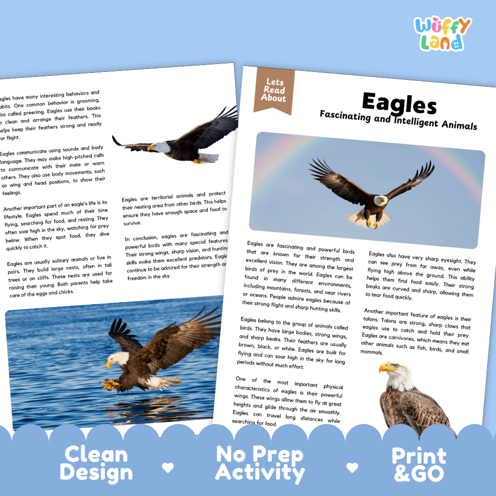 Eagles Reading Passage and Comprehension Questions Worksheets with Answer Key