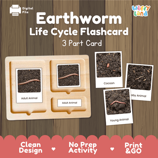 Montessori 3-part photo cards for earthworm life cycle shown on wooden tray paired with animal research report worksheets and reference photo page