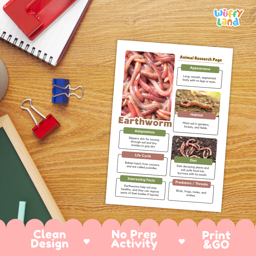 An educational activity sheet titled 'Earthworm' with sections for 'Appearance', 'Habitat', 'Adaptations', 'Life Cycle', 'Diet', and 'Predators / Prey' displayed on a wooden desk alongside school supplies.