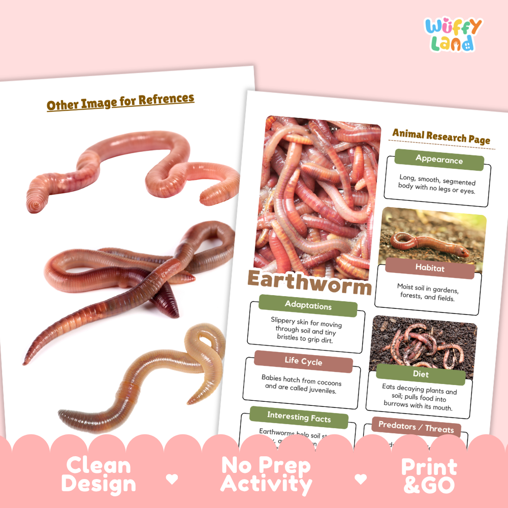 Two printed educational poster pages about earthworms are shown on a light pink background with decorative text along the bottom. The right page is titled 'Animal Research Page' and includes labeled sections for appearance, habitat, adaptations, life cycle, interesting facts, and diet, with photos of earthworms.