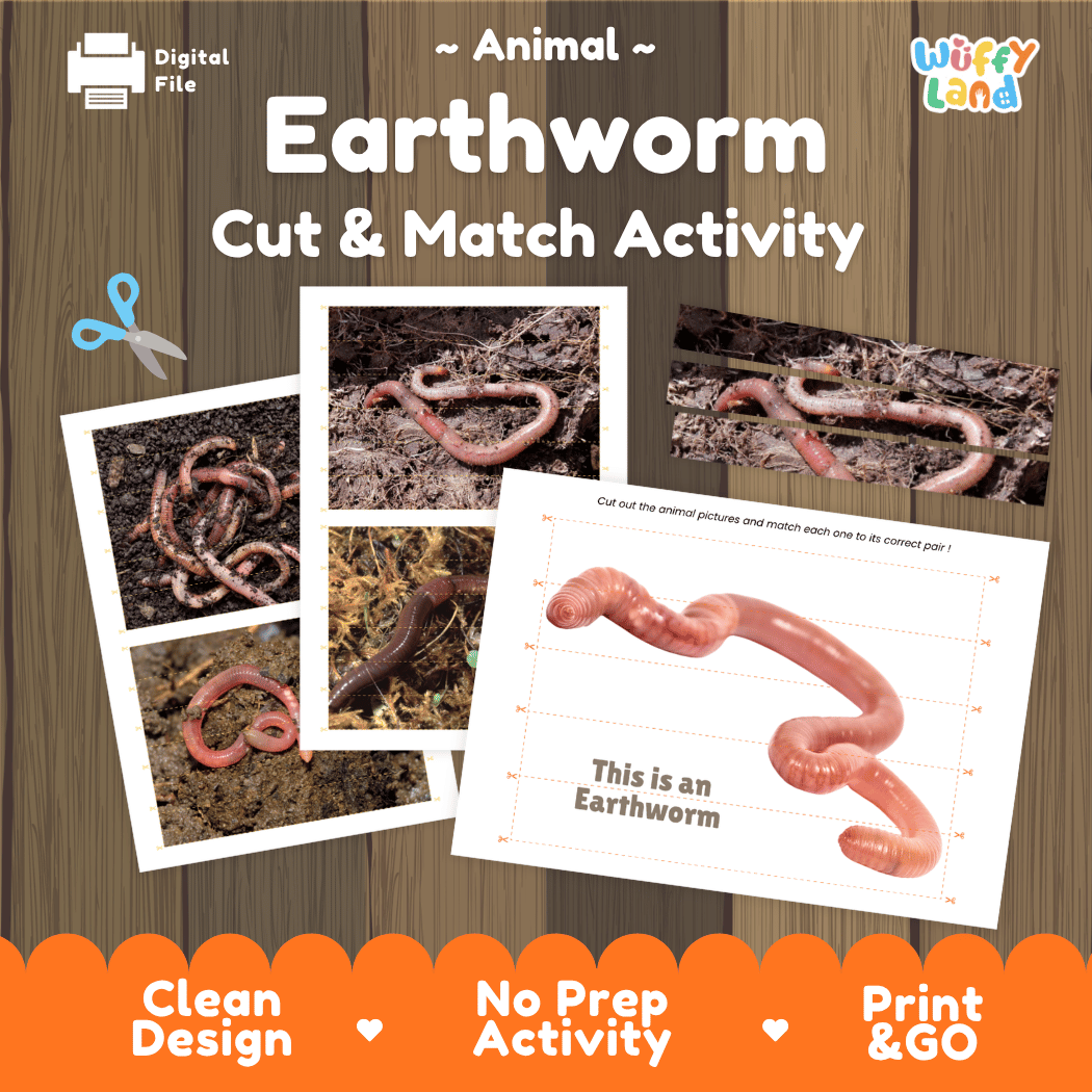 Earthworm Cut and Match Activity Printables Worksheets