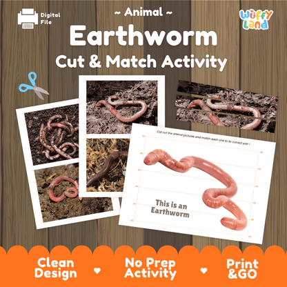 Earthworm Cut and Match Activity Printables Worksheets