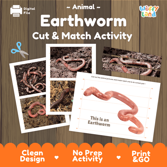 Earthworm Cut and Match Activity Printables Worksheets