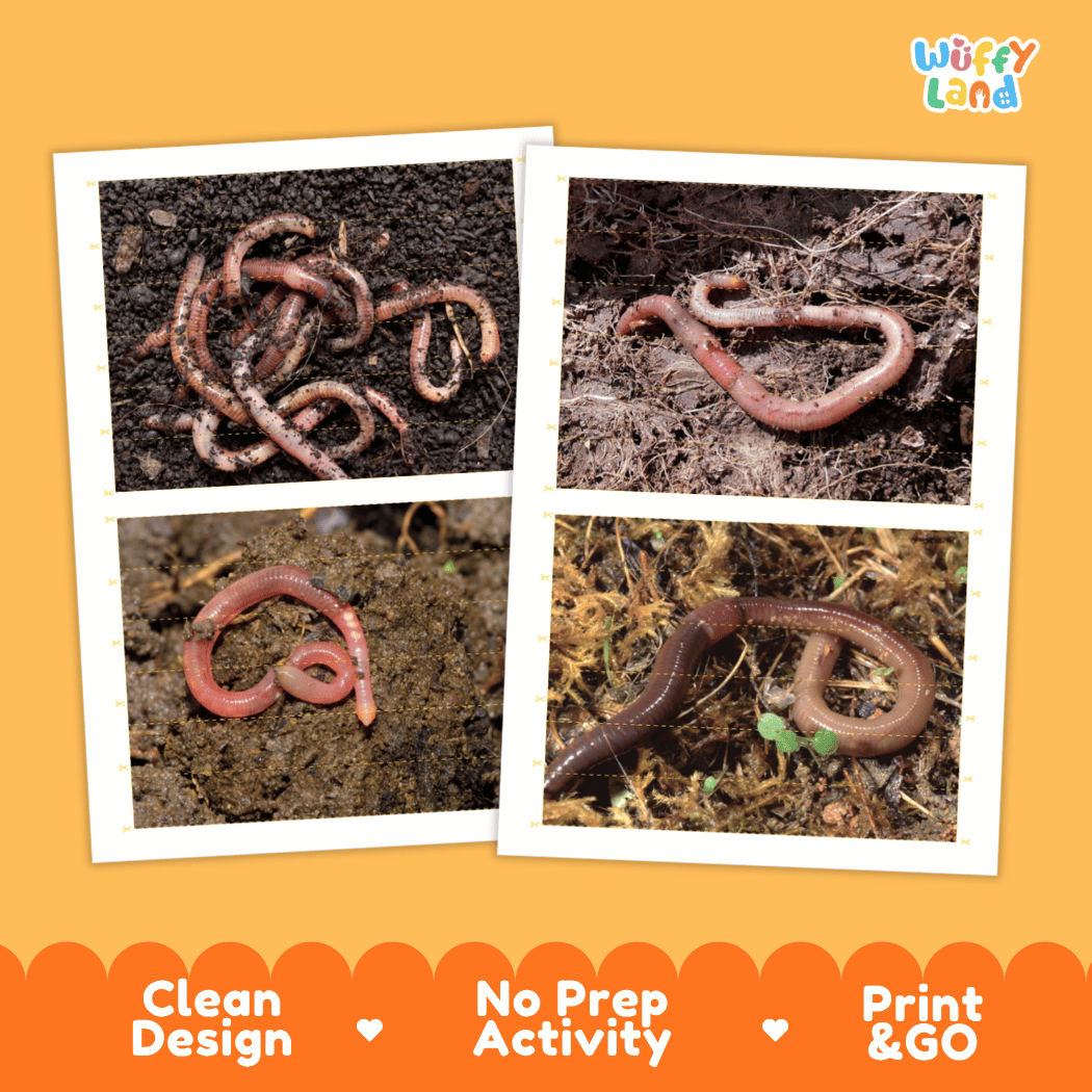 Earthworm Cut and Match Activity Printables Worksheets
