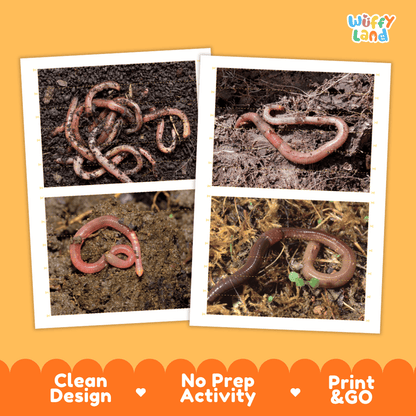 Earthworm Cut and Match Activity Printables Worksheets