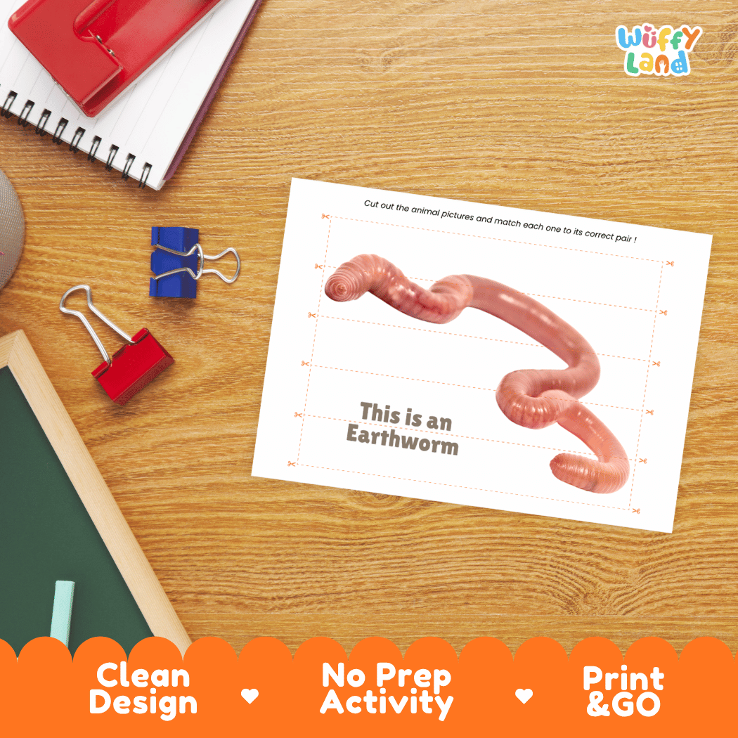 Earthworm Cut and Match Activity Printables Worksheets