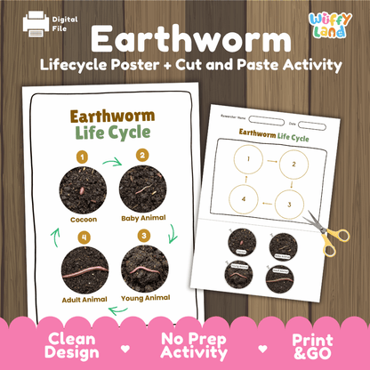Earthworm Life Cycle Poster and Cut and Paste Activity Worksheets