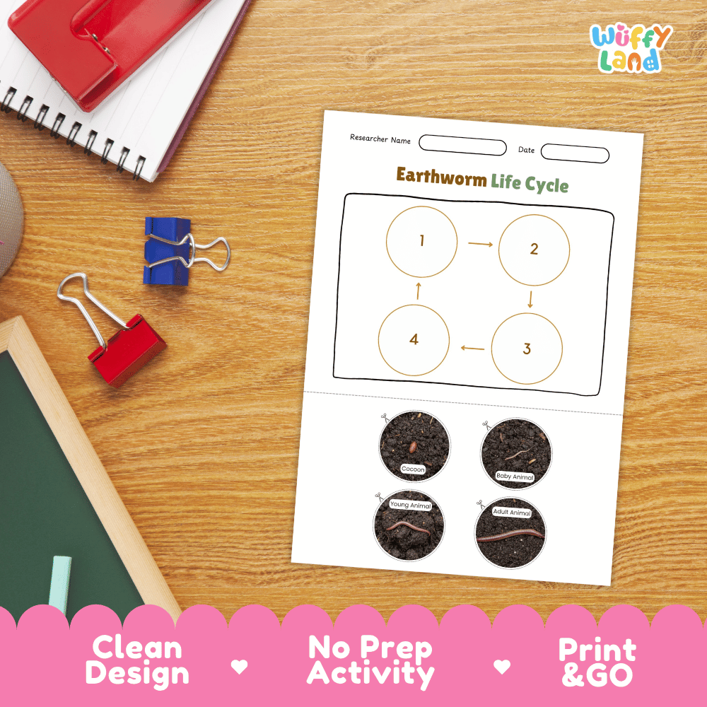 Earthworm Life Cycle Poster and Cut and Paste Activity Worksheets