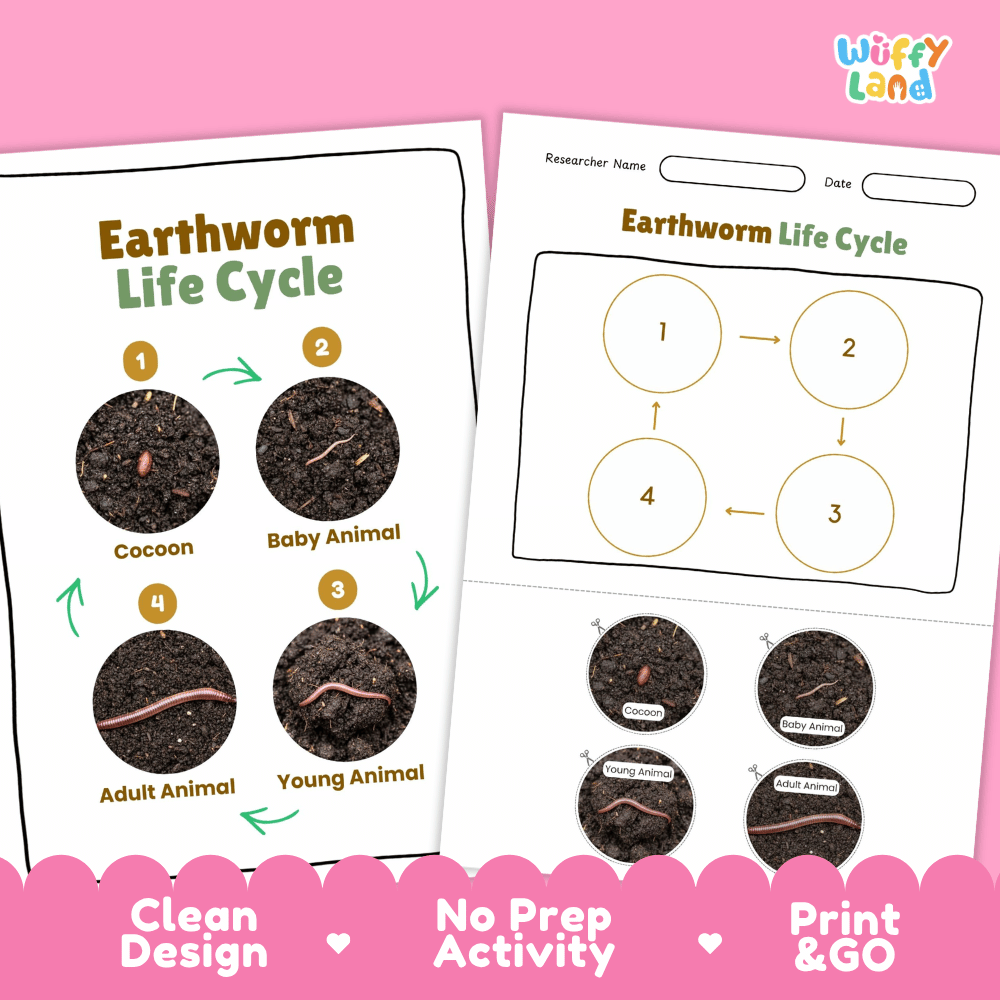 Earthworm Life Cycle Poster and Cut and Paste Activity Worksheets