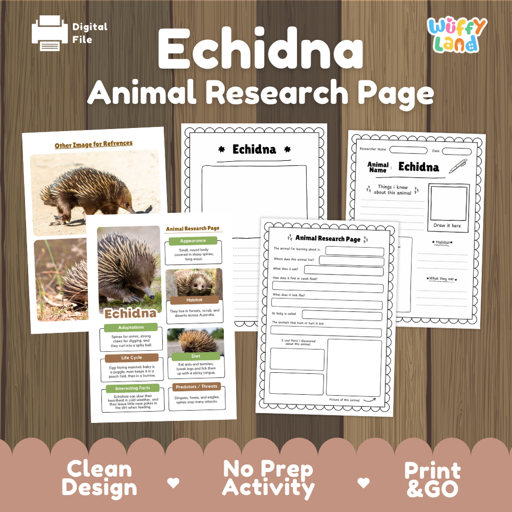 Digital preview of an 'Echidna Animal Research Page' activity sheet set by Wiffy Land, displayed on a wood-grain background. The layout shows several printable worksheet pages with black and white text and boxes, alongside a reference card featuring a photo of an echidna.