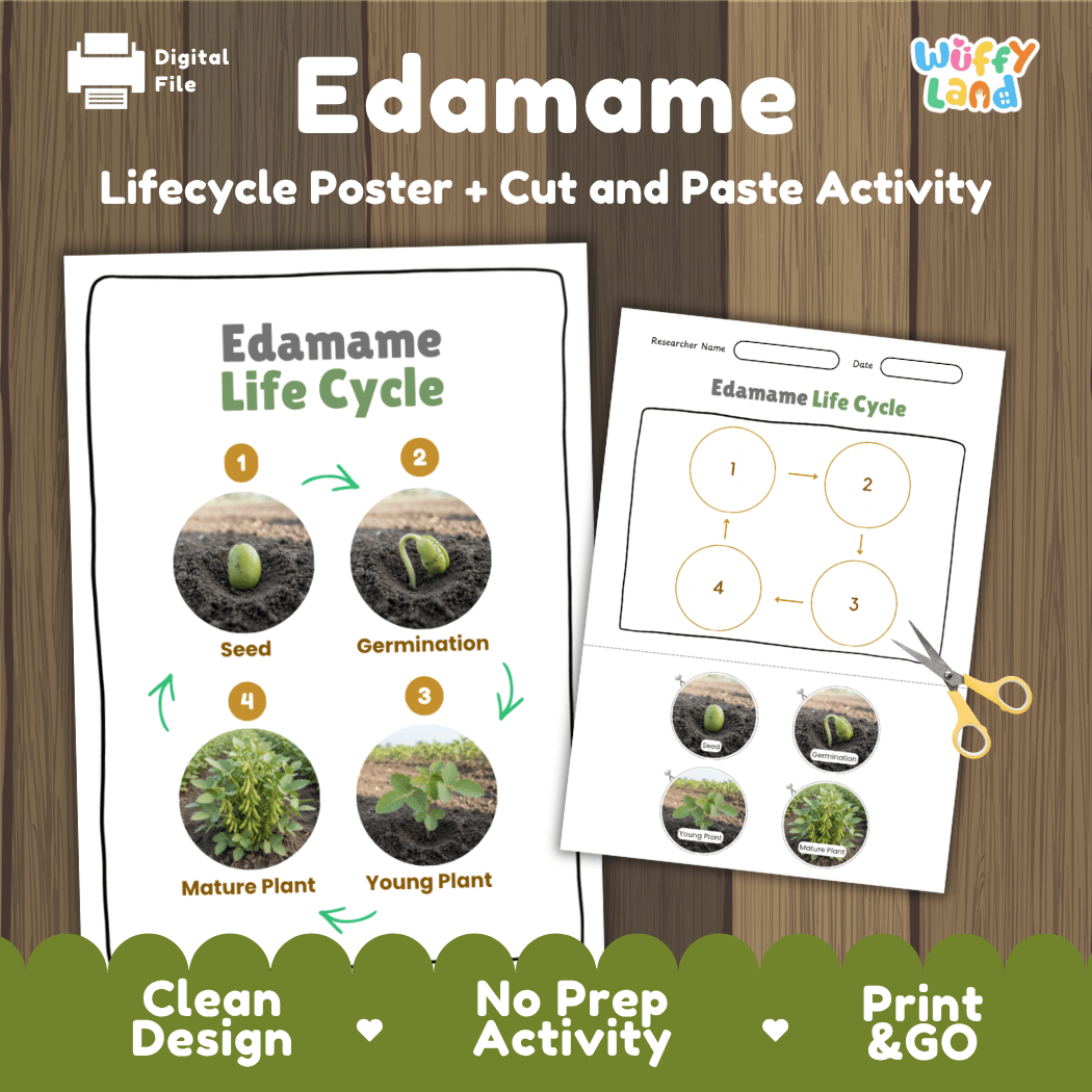 Edamame plant life cycle educational printable pack cover showing visual reference poster and cut and paste sequencing worksheet with real photography