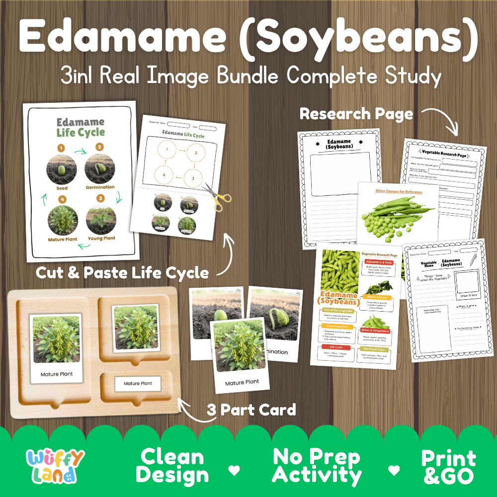 Edamame soybeans 3in1 real image bundle complete study printable featuring life cycle cut and paste worksheets, Montessori 3-part cards, and research pages