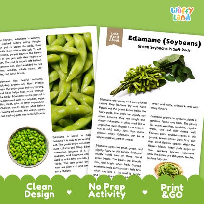 Teacher answer key page showing complete question solutions for edamame soybeans reading comprehension practice