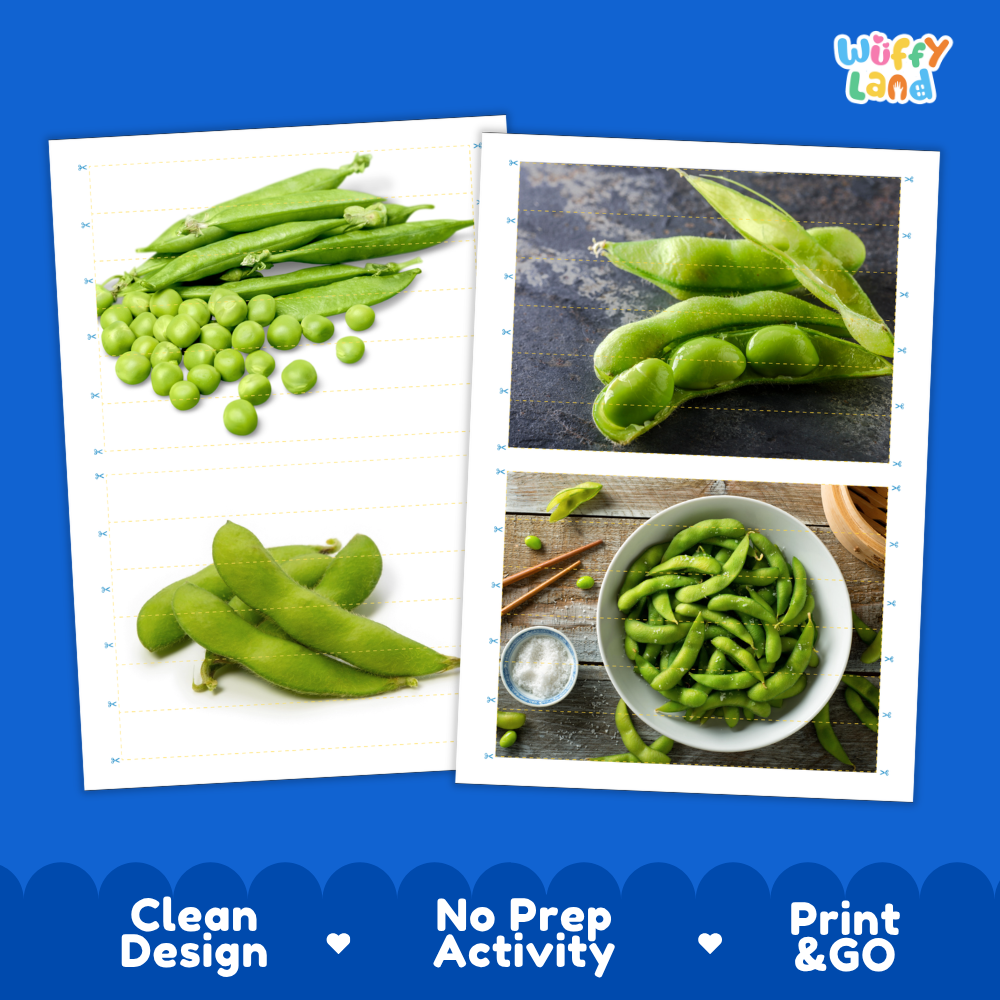 Printable activity sheets featuring photographic edamame soybeans puzzle boards and cutting guides