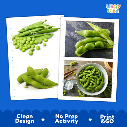 Printable activity sheets featuring photographic edamame soybeans puzzle boards and cutting guides