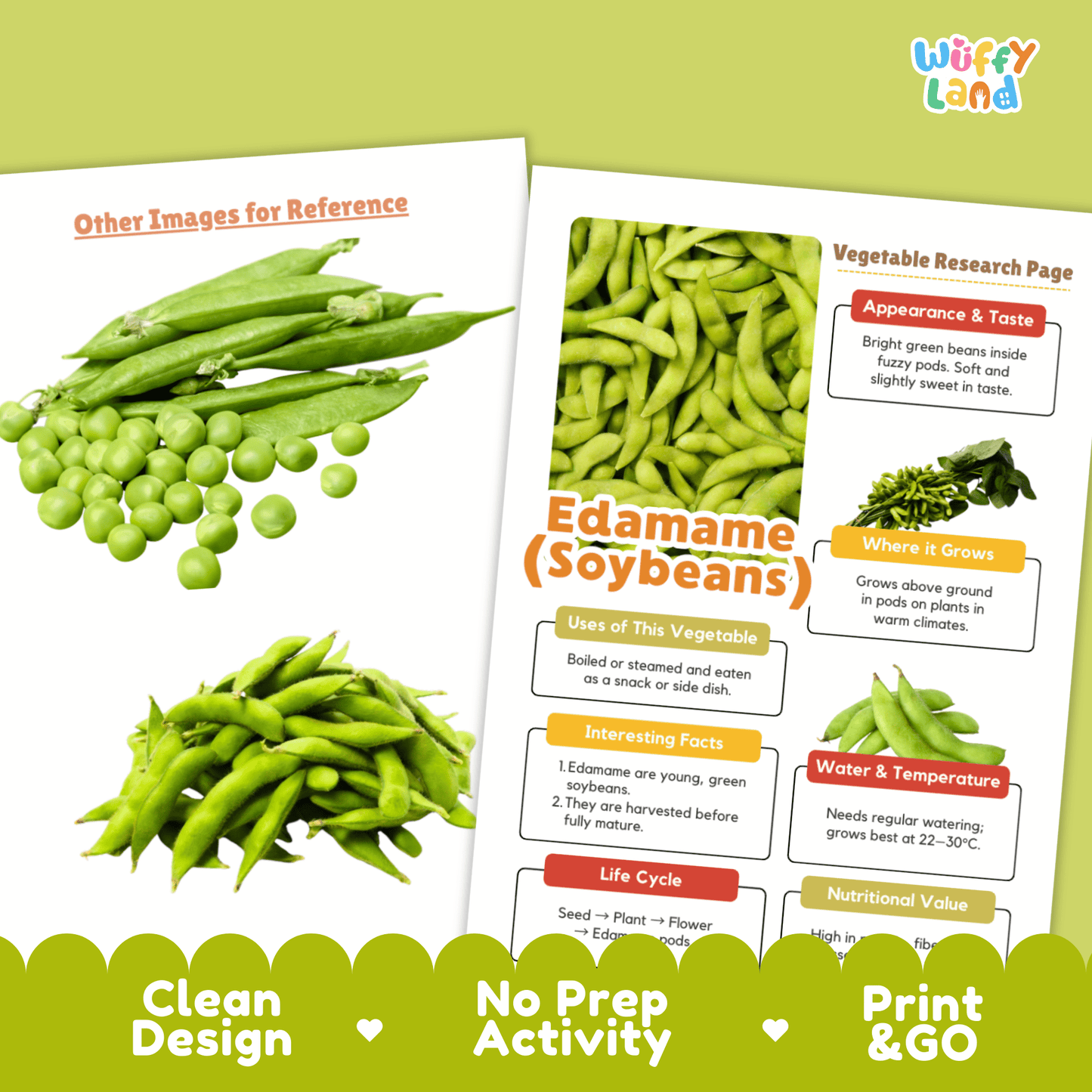 Edamame Research Activity Worksheet Science Vegetable Soybeans Healthy Eating