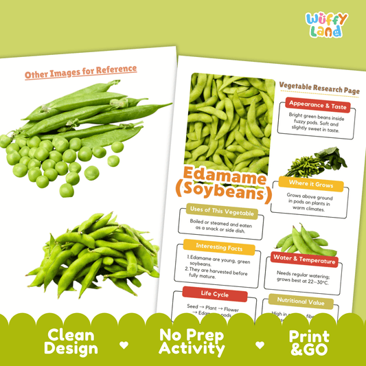 Edamame Research Activity Worksheet Science Vegetable Soybeans Healthy Eating