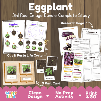 Eggplant 3in1 real image bundle complete study printable featuring life cycle cut and paste worksheets, Montessori 3-part cards, and research pages