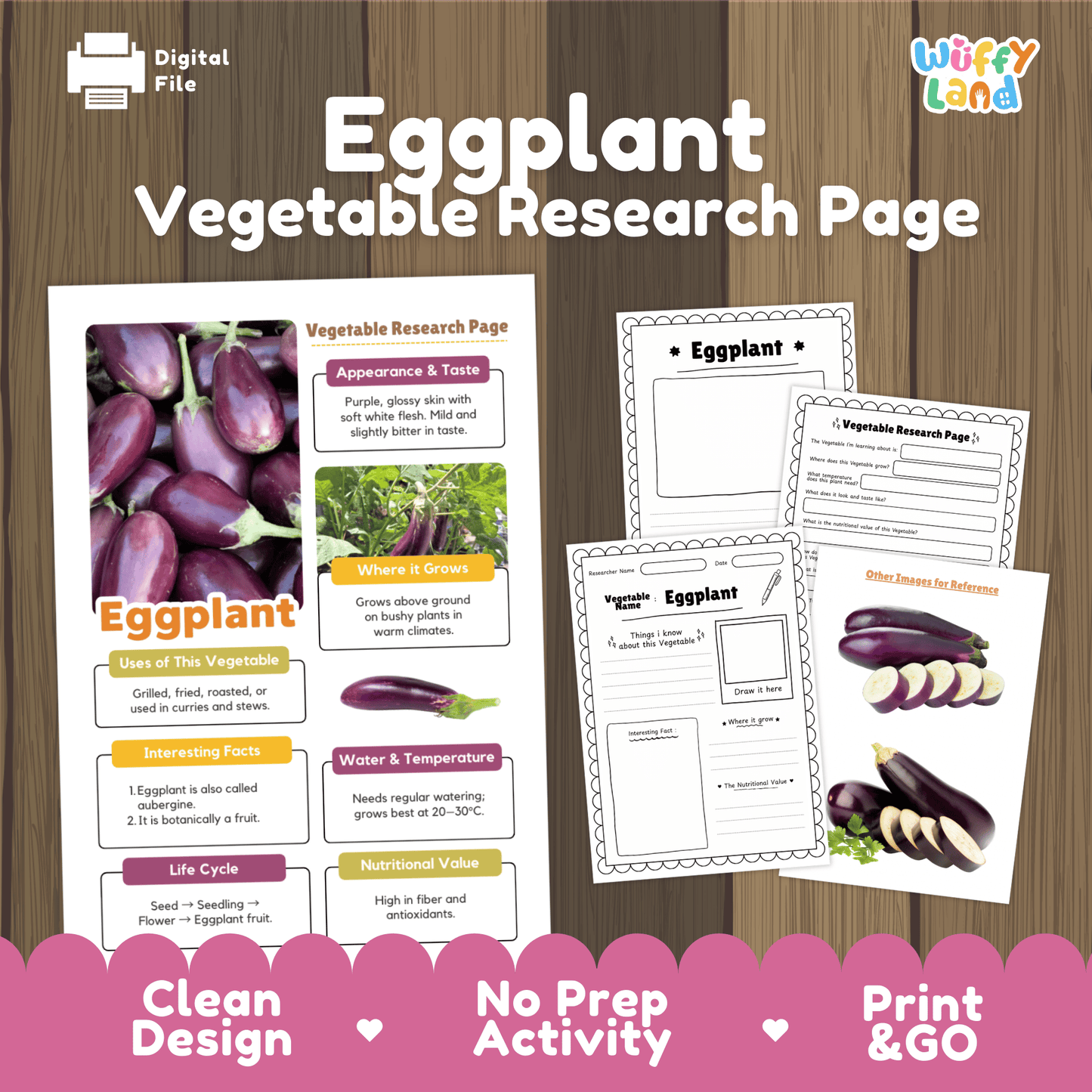 Eggplant Research Activity Worksheet Science Vegetable Aubergine Plant Life Cycle