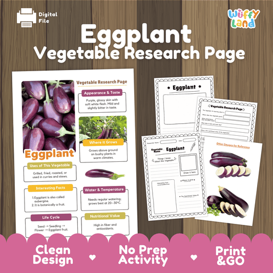 Eggplant Research Activity Worksheet Science Vegetable Aubergine Plant Life Cycle