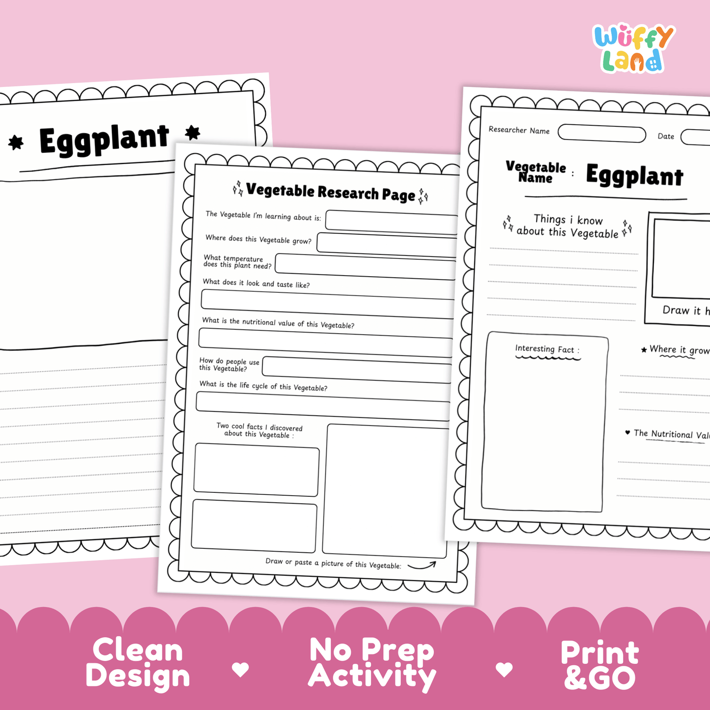 Eggplant Research Activity Worksheet Science Vegetable Aubergine Plant Life Cycle