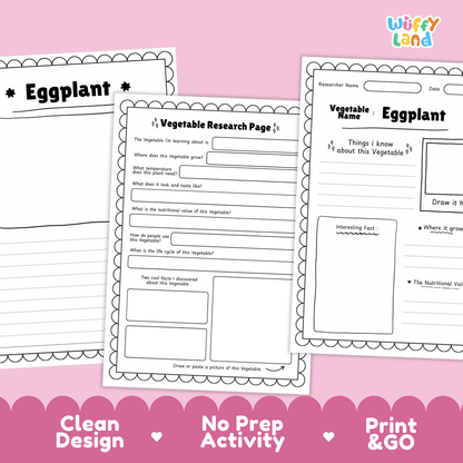 Eggplant Research Activity Worksheet Science Vegetable Aubergine Plant Life Cycle