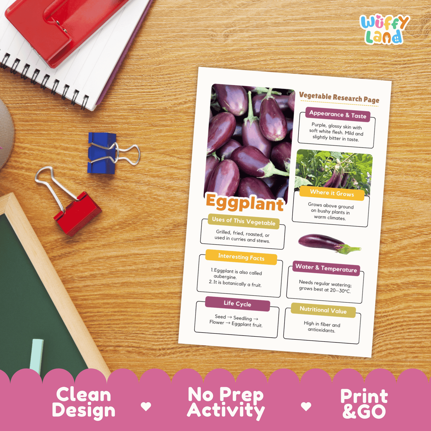Eggplant Research Activity Worksheet Science Vegetable Aubergine Plant Life Cycle
