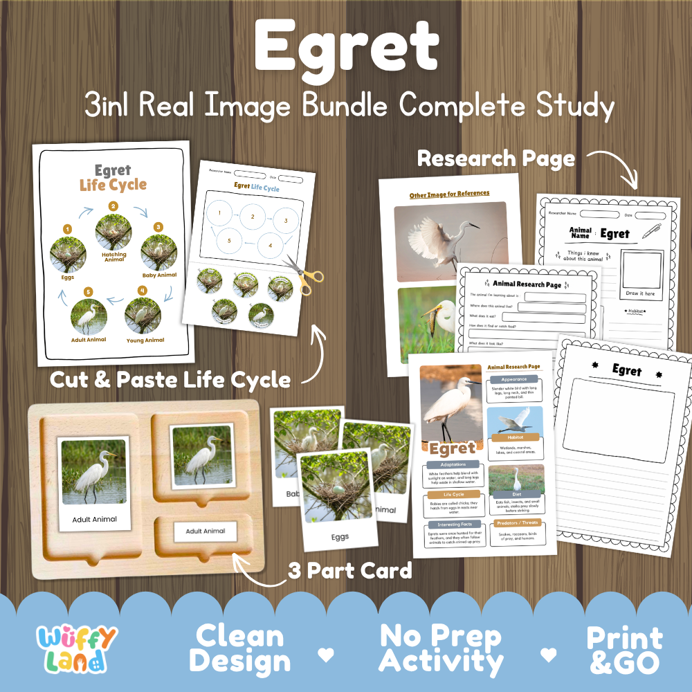 Egret 3-in-1 real image bundle complete study cover showing cut and paste life cycle, 3 part cards, and research pages