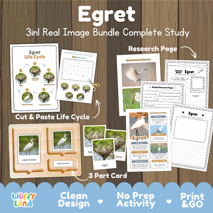 Egret 3-in-1 real image bundle complete study cover showing cut and paste life cycle, 3 part cards, and research pages