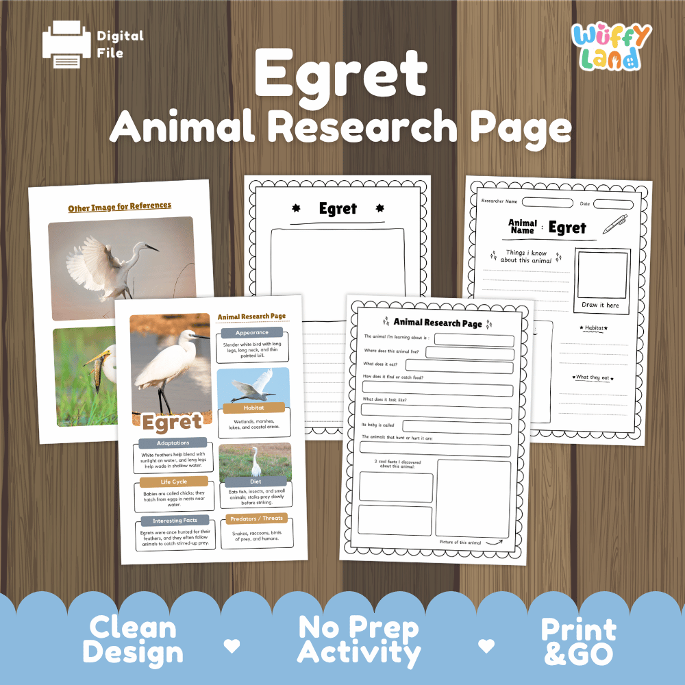 Egret Animal Research Page Worksheets