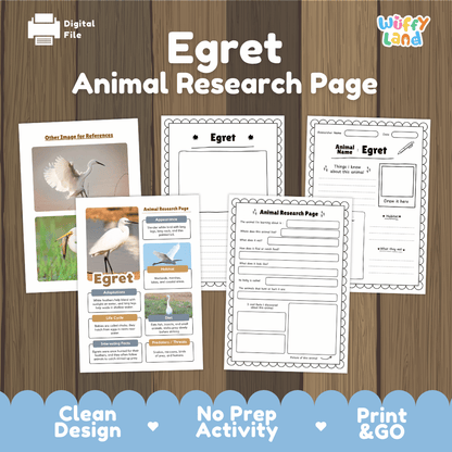 Egret Animal Research Page Worksheets