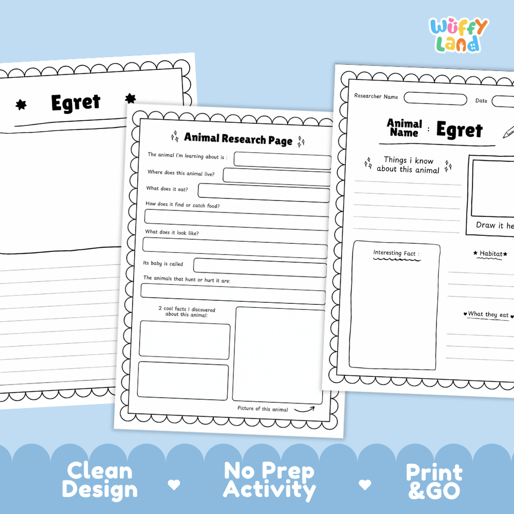 Egret Animal Research Page Worksheets