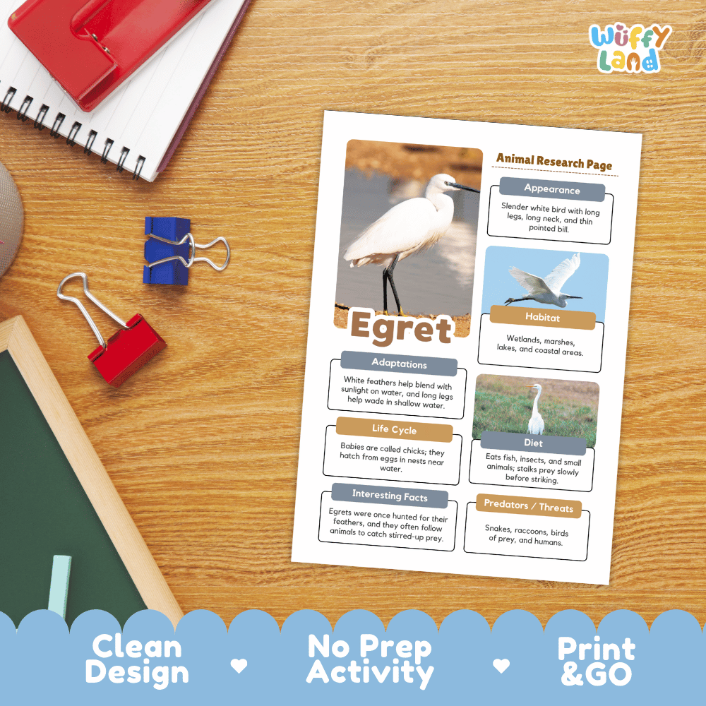 Egret Animal Research Page Worksheets