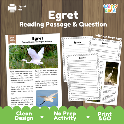 Egret Reading Passage and Comprehension Questions Worksheets